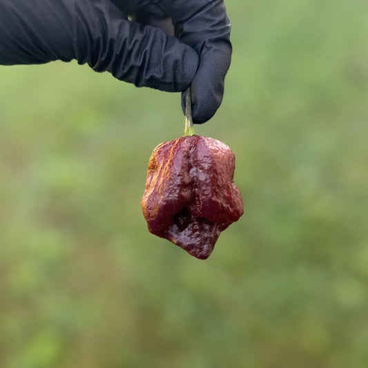 Trinidad Scorpion Chocolate Cappuccino Pepper Seeds