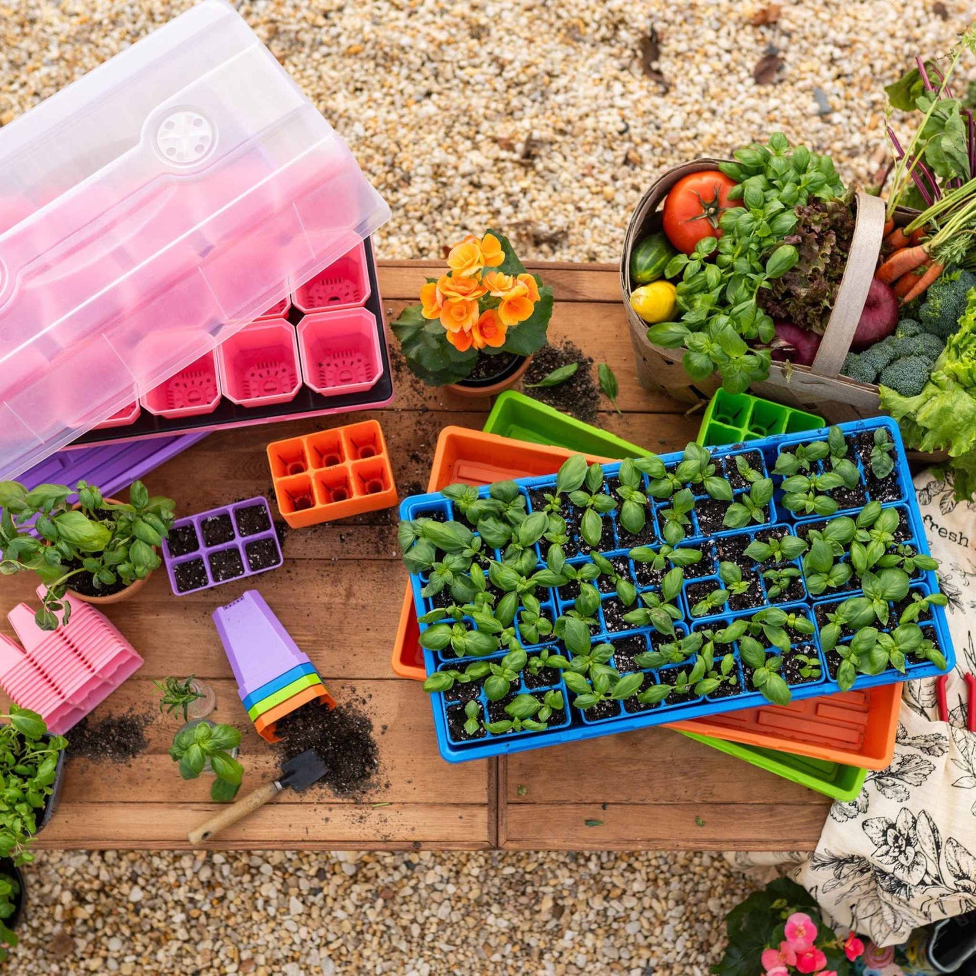 garden paws seed bundle station Ultimate Backyard Gardener Bundle No Humidity Domes / Multicolor