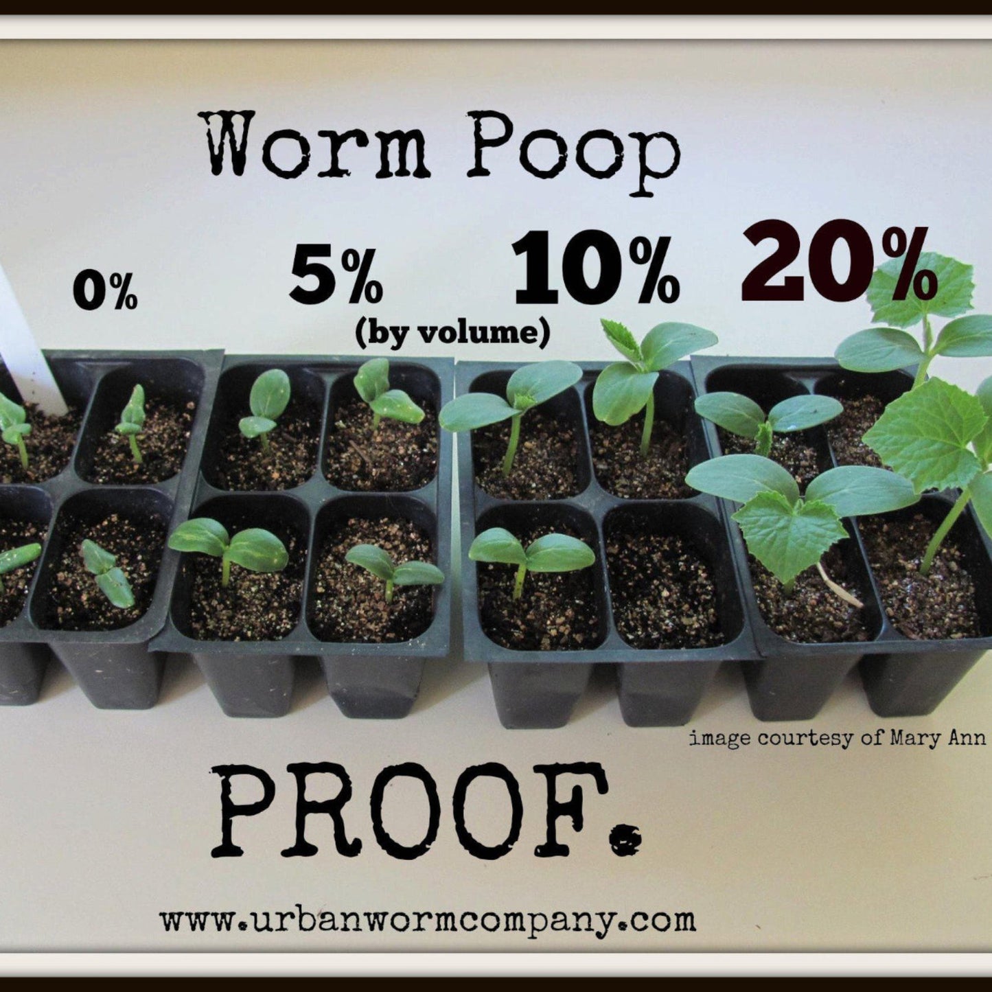 Seedlings in trays with text indicating worm castings percentage applied to seedlings and corresponding size increase of plants as percentage of worm casting increases.