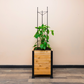 Wooden planter with a plant and vegetable cage in an indoor setting.