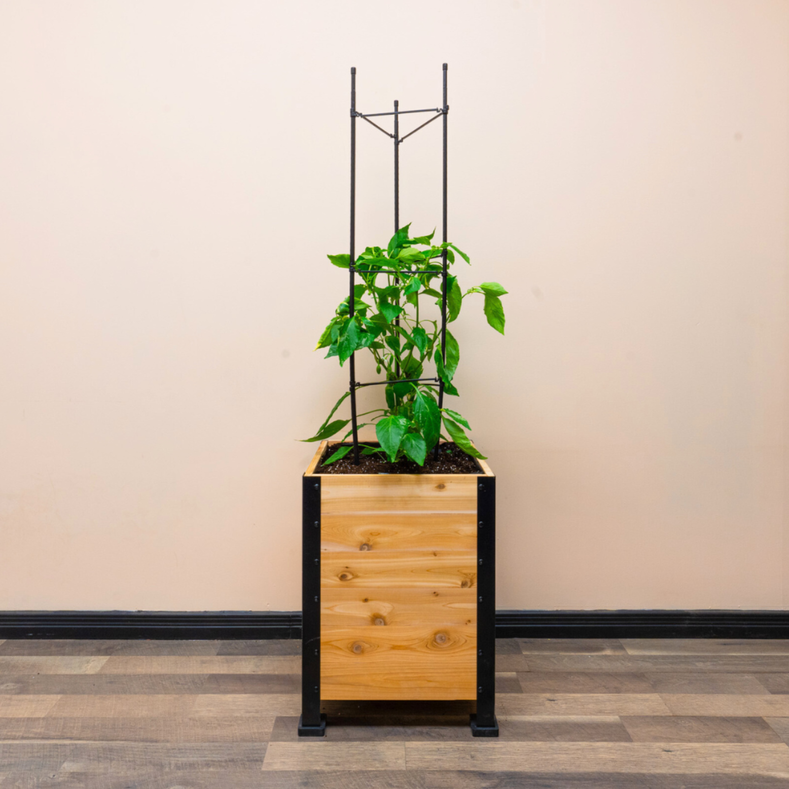 Wooden planter with a plant and vegetable cage in an indoor setting.