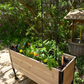 Wooden planter with a plant and vegetable cage in an outdoor backyard setting