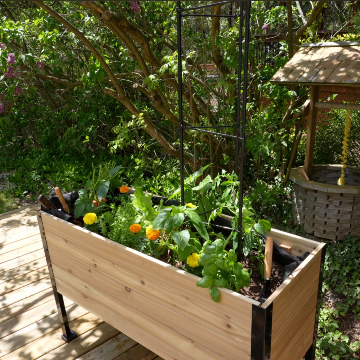 Wooden planter with a plant and vegetable cage in an outdoor backyard setting