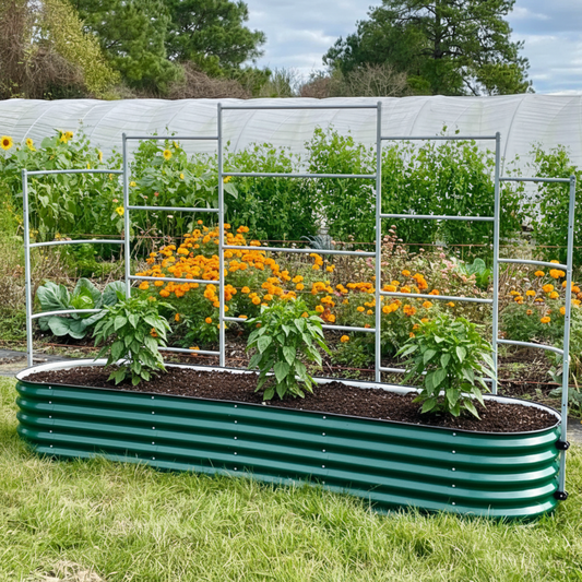 Wall Trellis system for raised garden beds installed in a raised garden with three peppers growing in a backyard.