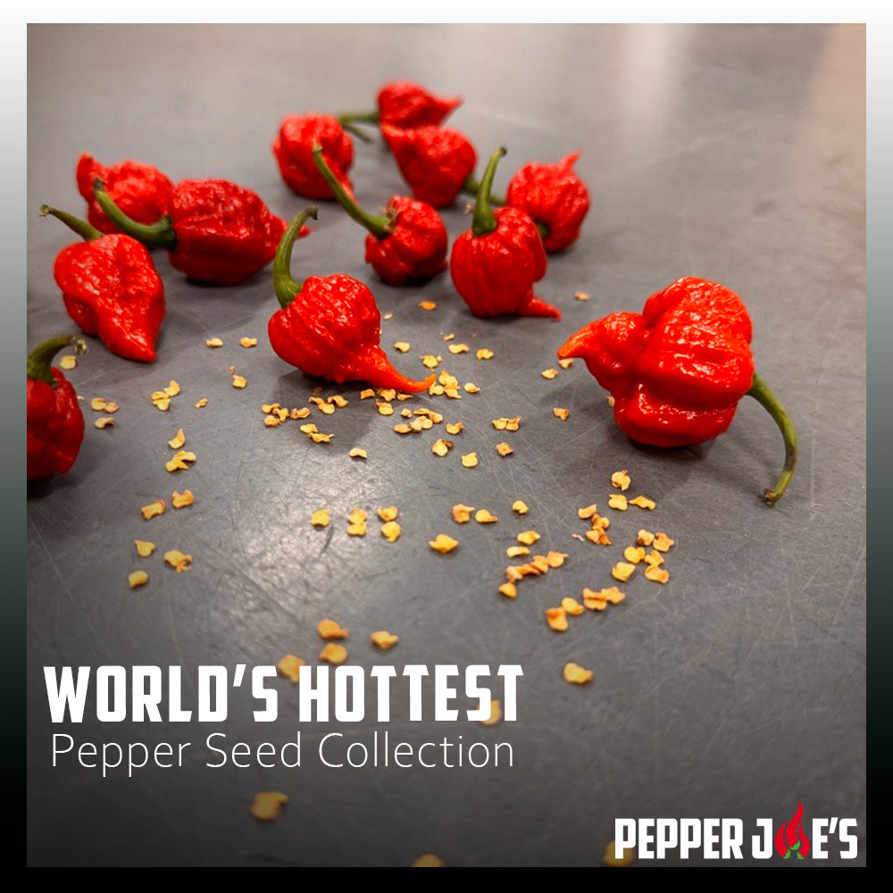 Worlds Hottest Pepper Seed Collection