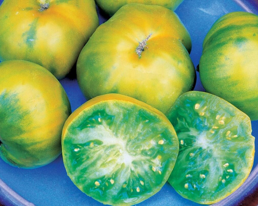 Semillas de tomate verde alemán de la tía Ruby