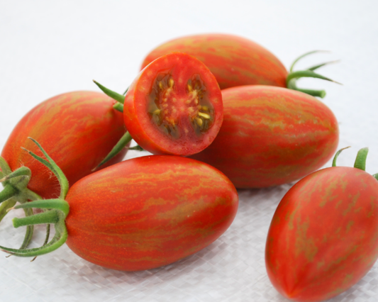 Semillas de tomate híbrido Antorcha de Bronce