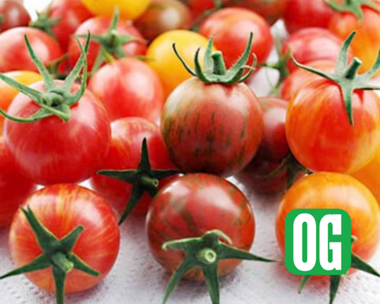Semillas de tomate Bumblebee Mix de la serie Artisan