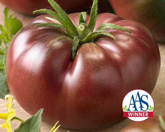 Semillas de tomate híbrido negro Chef's Choice