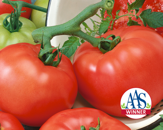 Semillas de tomate híbrido rojo Chef's™ Choice