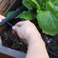 Watering - Raised Bed Drip Irrigation Kit