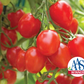 Fantastico Hybrid Tomato Seeds