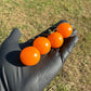 Four Pepper Joe's Sungold cherry tomatoes fully ripened in black gloved hand used to display tomato seeds for sale