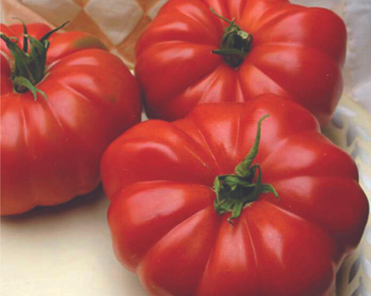 Semillas de tomate híbrido Grandma's Pick 