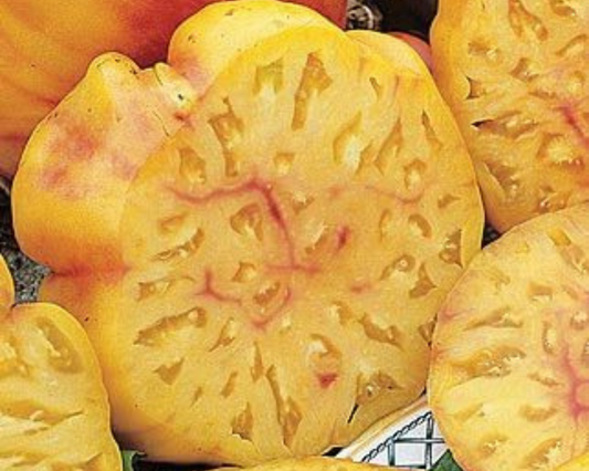 Semillas de tomate piña