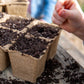 Hand planting seeds into biodegradable 6-cell seed starting pots filled with soil on a wooden surface