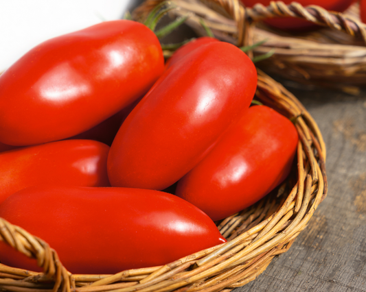 Semillas de tomate en pasta polaca