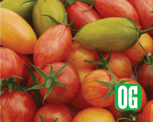 Mezcla artesanal de semillas de tomate más bonitas