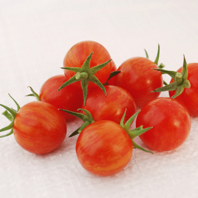 Sparky XSL Hybrid Tomato Seeds