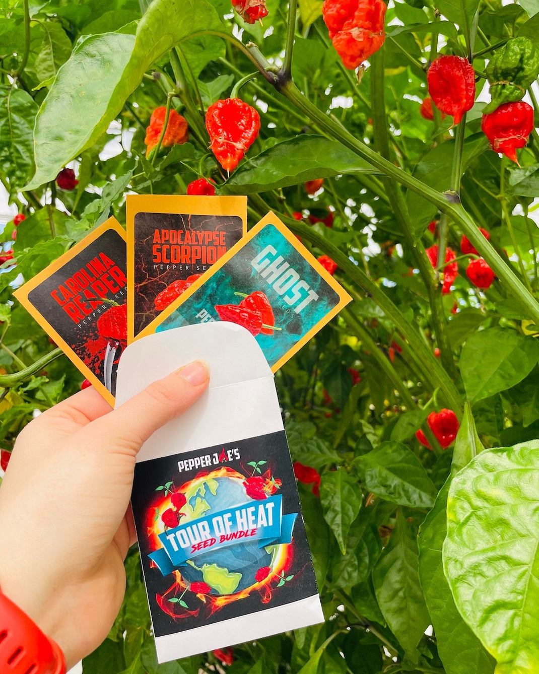 Pepper Joe's Wholesale Growing Peppers for Profit Pepper Joe’s