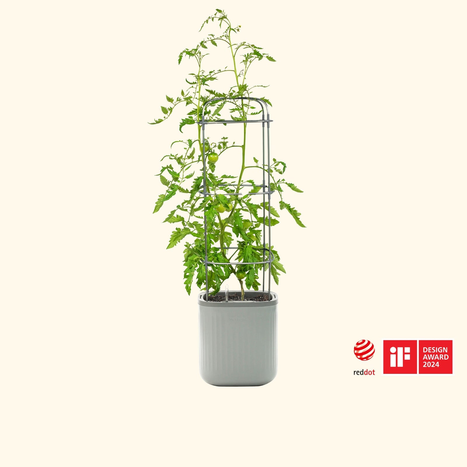 Potted tomato plant with a metal trellis in the fog gray EZ self watering planter on a white background, featuring Red Dot Design Award logo.