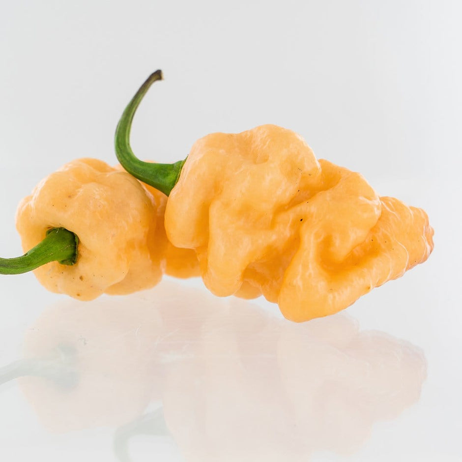 Hybrid Pepper Seeds | Pepper Joe’s