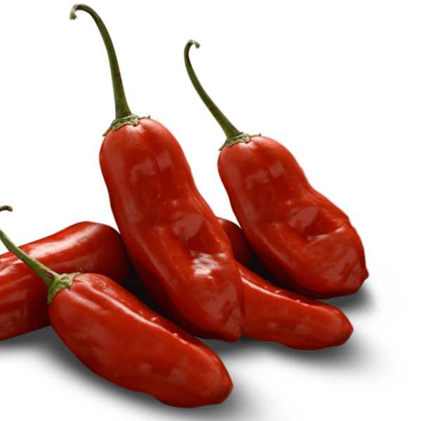 multiple red Aji Rico peppers with green stems over a white background