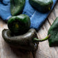Ancho Poblano Peppers on wood kitchen table used to display pepper seeds for sale