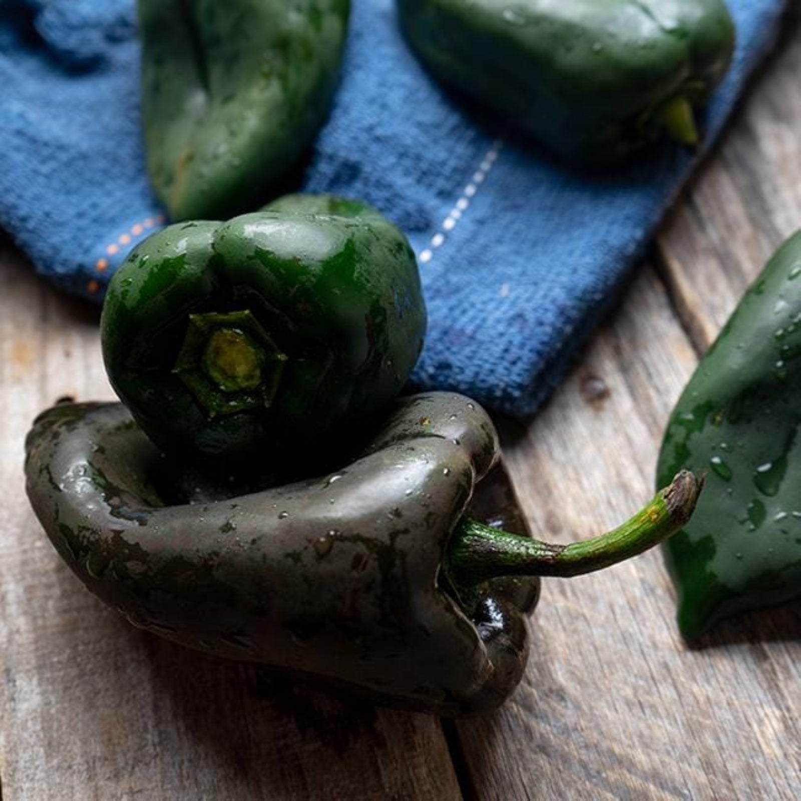 Ancho Poblano Peppers on wood kitchen table used to display pepper seeds for sale