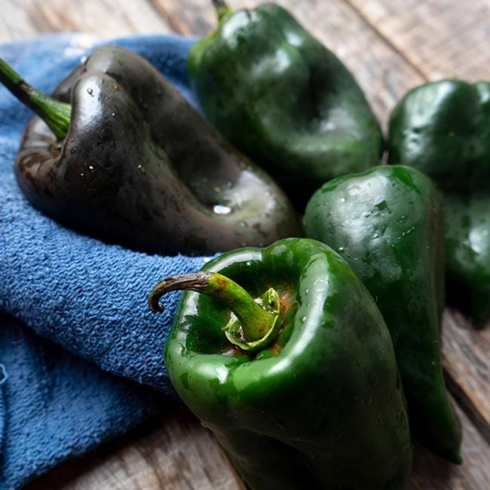 Ancho Poblano Peppers on wood table with blue cloth used to display pepper seeds for sale