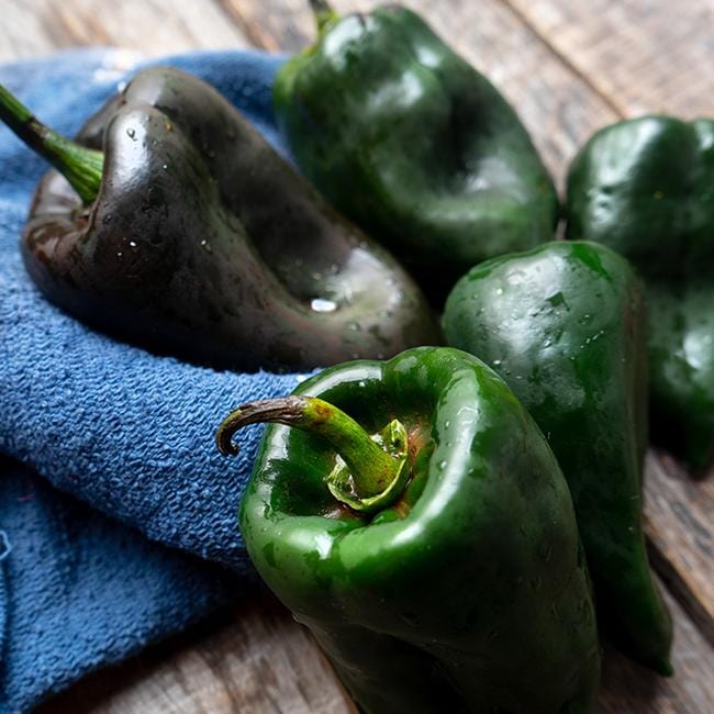 Ancho Poblano Pepper Seeds Novelty