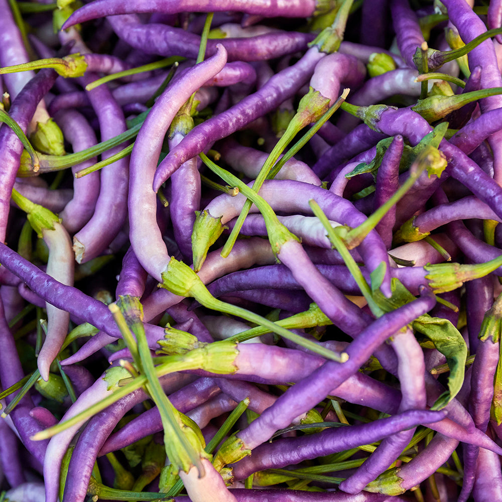 Pepper Joe's Buena Mulata pepper seeds - pile of thin, skinny purple buena mulata pepper on table
