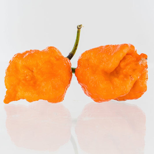 Bane Strain Peach Pepper Seeds Superhot