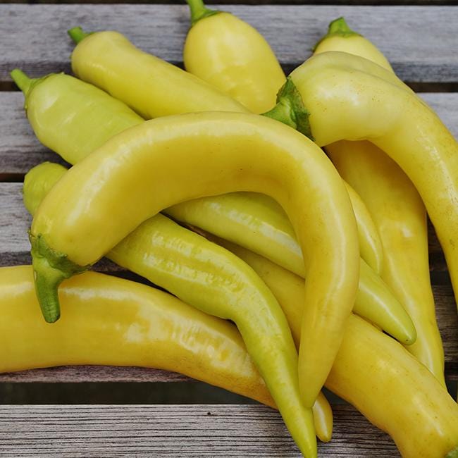 Pepper Joe's banana pepper seeds - yellow banana peppers on wooden table