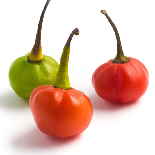 Sepia Reaper x Pimenta de Neyde Pepper Seeds – Pepper Joe's