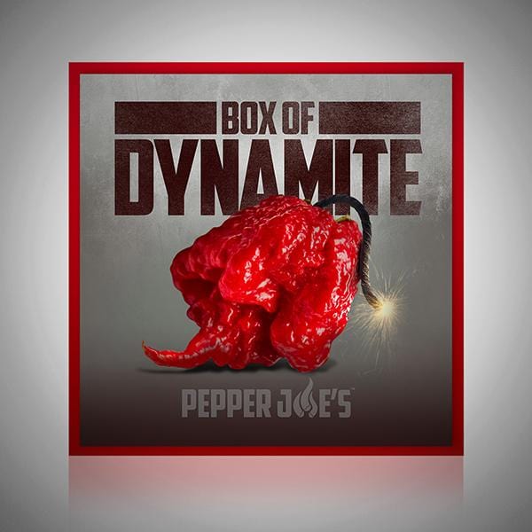 Box Of Dynamite Kit