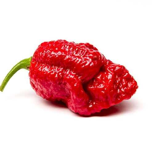 Brain Strain AKA "7 Pot Strain" Pepper Seeds – Pepper Joe’s