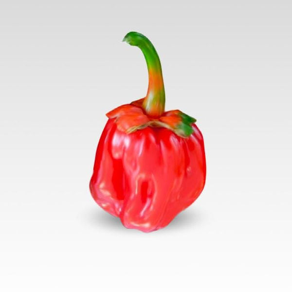 ペッパーペッパー Bubblegum 7 Pot Pepper Seeds – Pepper Joe's