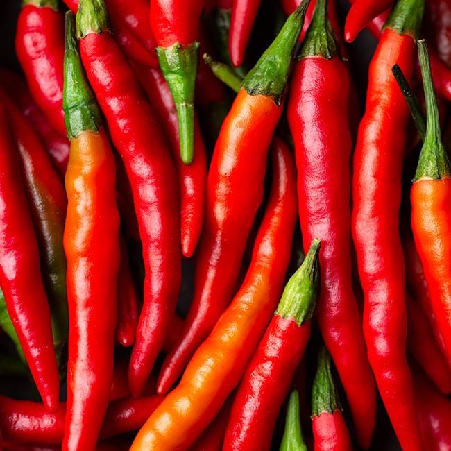 Cayenne Pepper 6-Pack Seeds