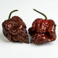 Pepper Joe's Super Hot Sleeper seed collection - Purple Reaper, Chocolate Moruga, Gator Jigsaw