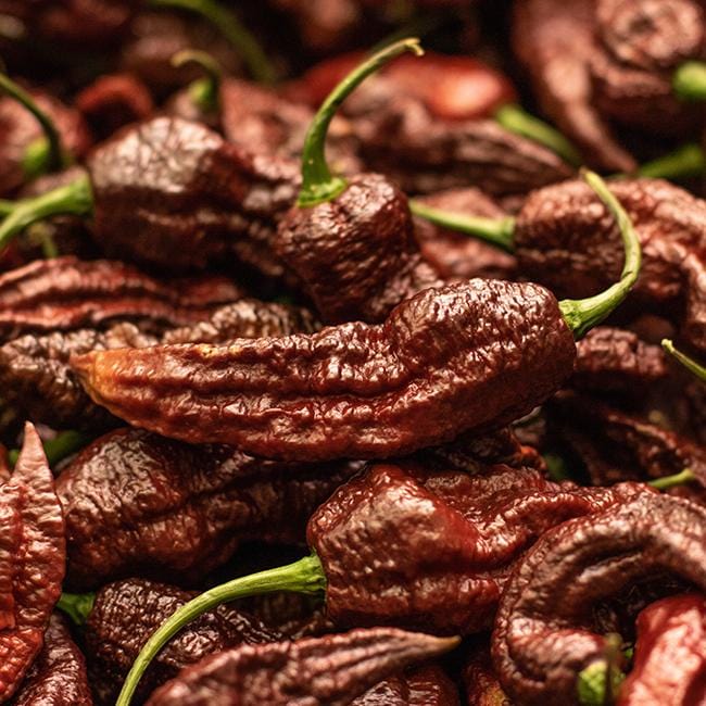 Pepper Joe's Chocolate Bhutlah seeds - pile of chocolate ghosts 