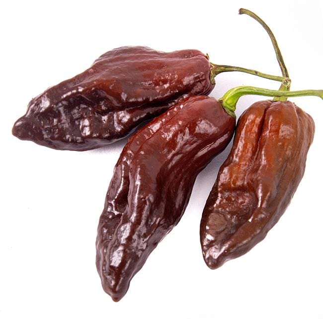 Pepper Joe's Chocolate Ghost Pepper - three ghost chocolate peppers on white background image