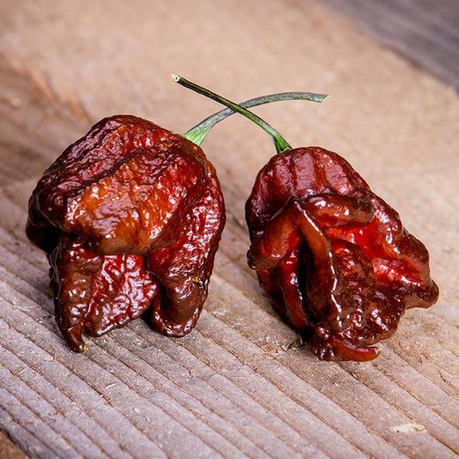 Pepper Joe's chocolate reaper chili - chocolate reapers on wooden table image