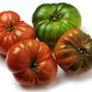 Costoluto Genovese Tomato Seeds