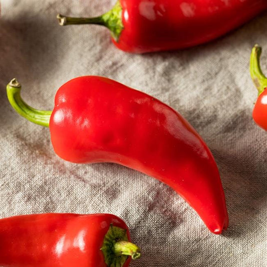 Pepper Joe's Chili Fresno seeds - red fresno chilis on wooden table