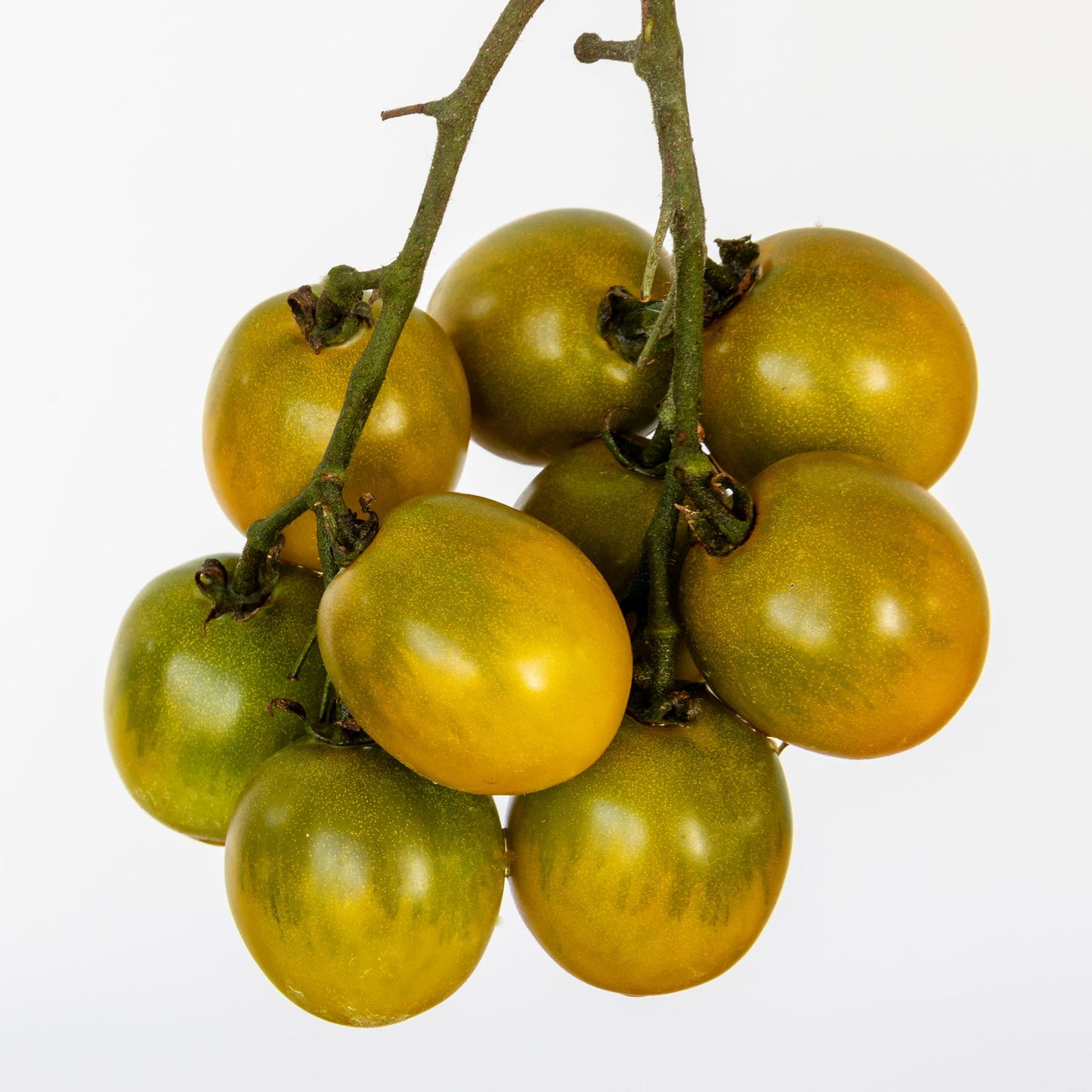 Pepper Joe's Green Grape Tomato Seeds