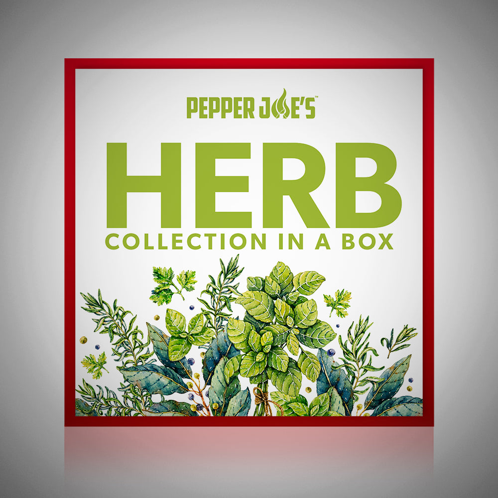 Culinary Herb Seed Collection Pepper Joe’s