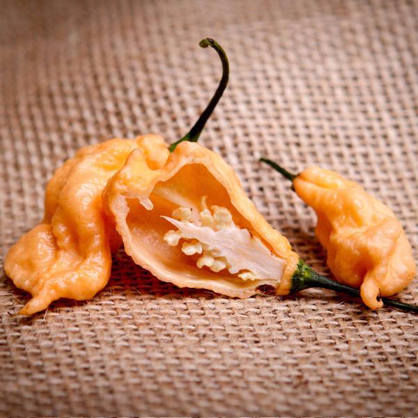 Jay's Peach Ghost Scorpion Seeds from Pepper Joe's