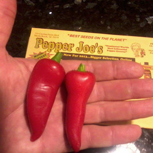 Hot Pepper Jalapeno Early - Hot Pepper - Pepper Joe's