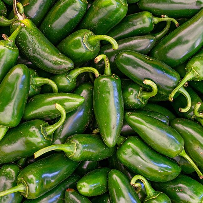 Green Jalapeno pepper seeds